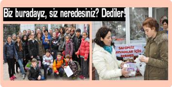 Biz buradayız, siz neredesiniz? Dediler!